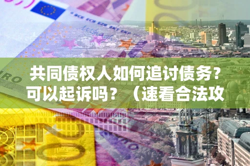 北京共同债权人如何追讨债务？可以起诉吗？（速看合法攻略）