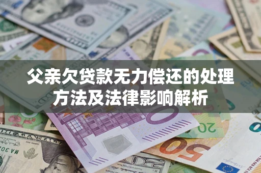 北京父亲欠贷款无力偿还的处理方法及法律影响解析